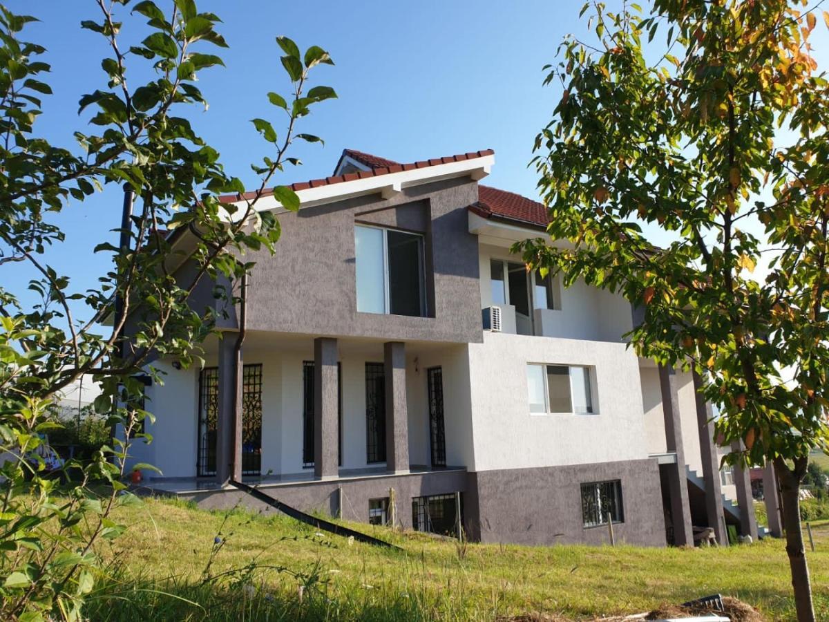 Lidia House Apartment Alba Iulia Exterior photo