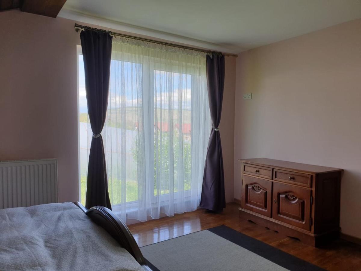 Lidia House Apartment Alba Iulia Exterior photo